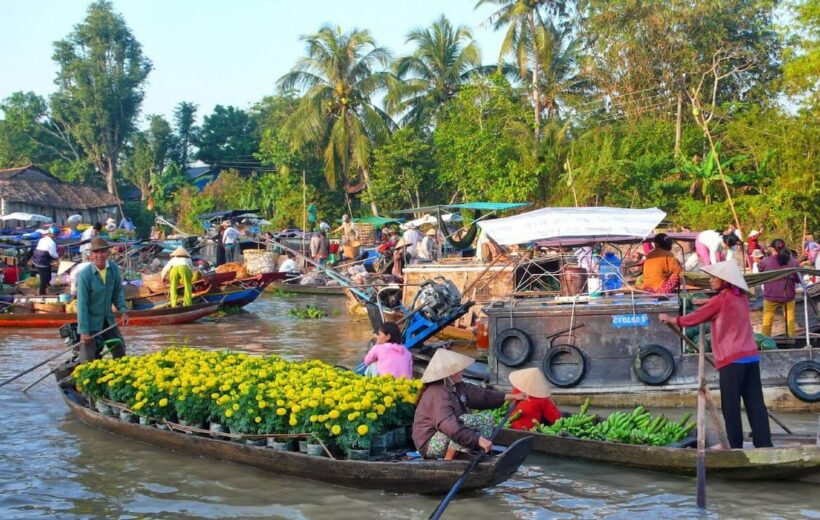 Explore Premium Mekong Delta & Cai Be Full-Day Tour