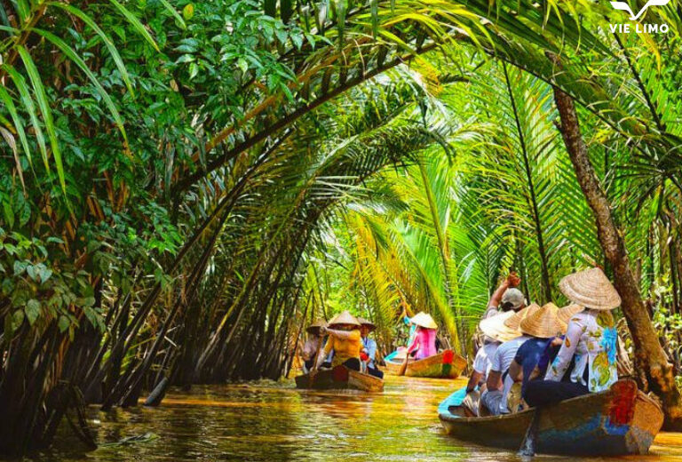 Explore Premium Mekong Delta & Cai Be Full-Day Tour