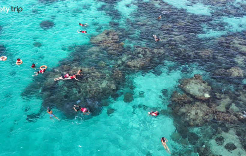 Snorkeling Tour Half-Day Phu Quoc Tour (Max of 25 per group)