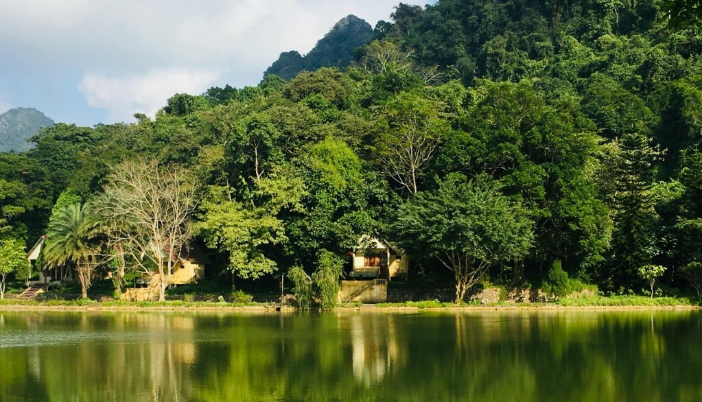 Cuc Phuong National Park