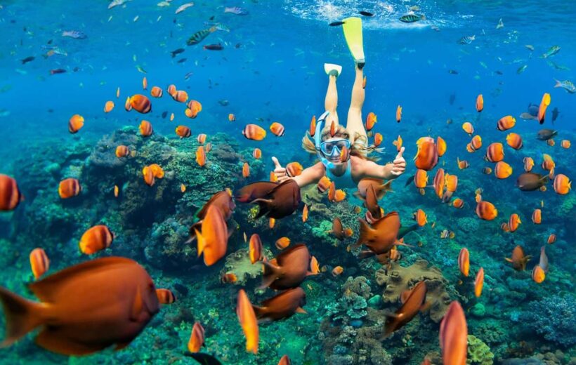 Snorkeling Half-Day Phu Quoc Tour (Max of 14 per group)