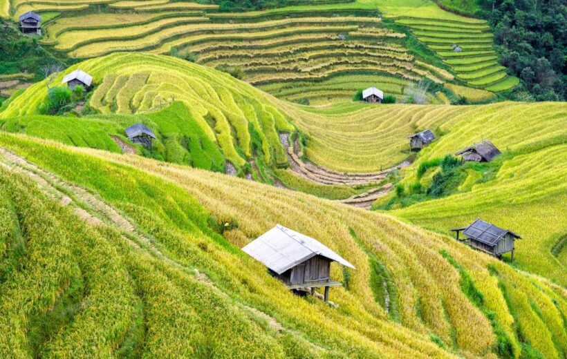 Sapa Trek: Nature, Culture, and Local Life