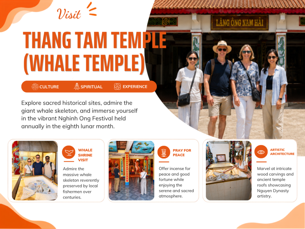 Cá-Ông-ssttravel-overview 