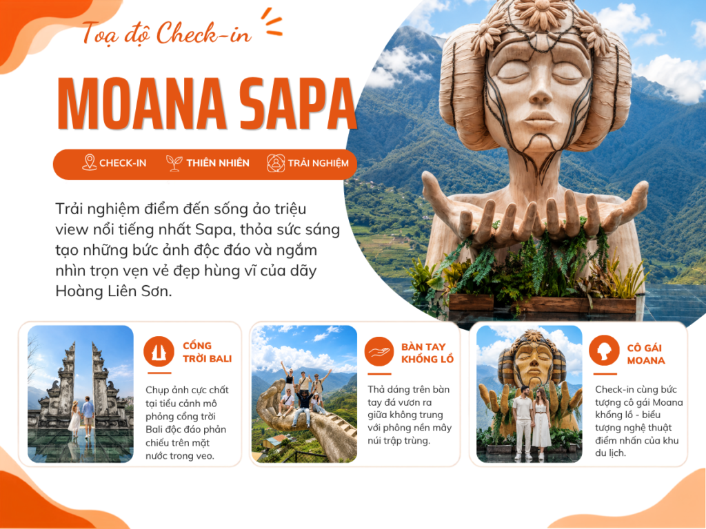 Moana-ssttravel- overview